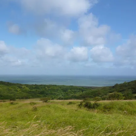 Gentlemen Au Premier Etage A 50 Metres De La 상가트
