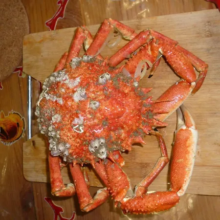 Gentlemen Au Premier Etage A 50 Metres De La 아파트